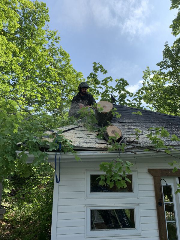 Dégagement d’urgence d’un arbre tombé sur un cabanon